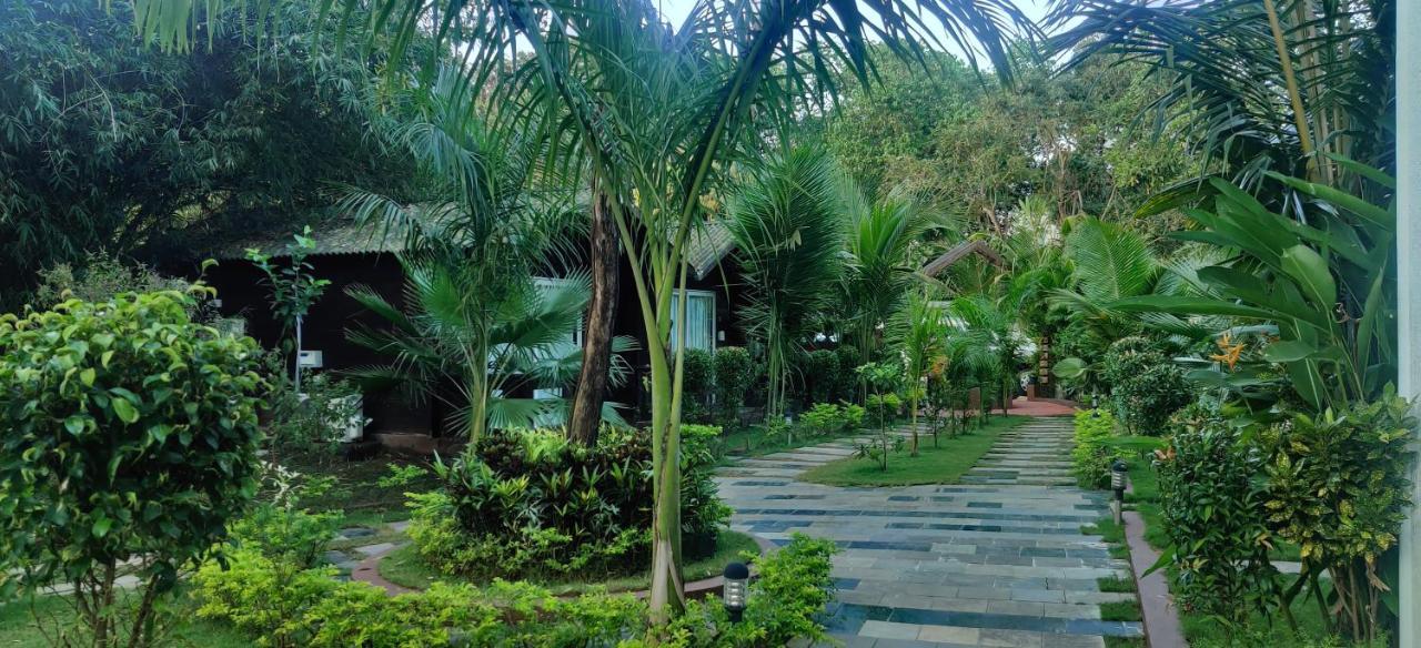 Jp Resort Arambol Kültér fotó